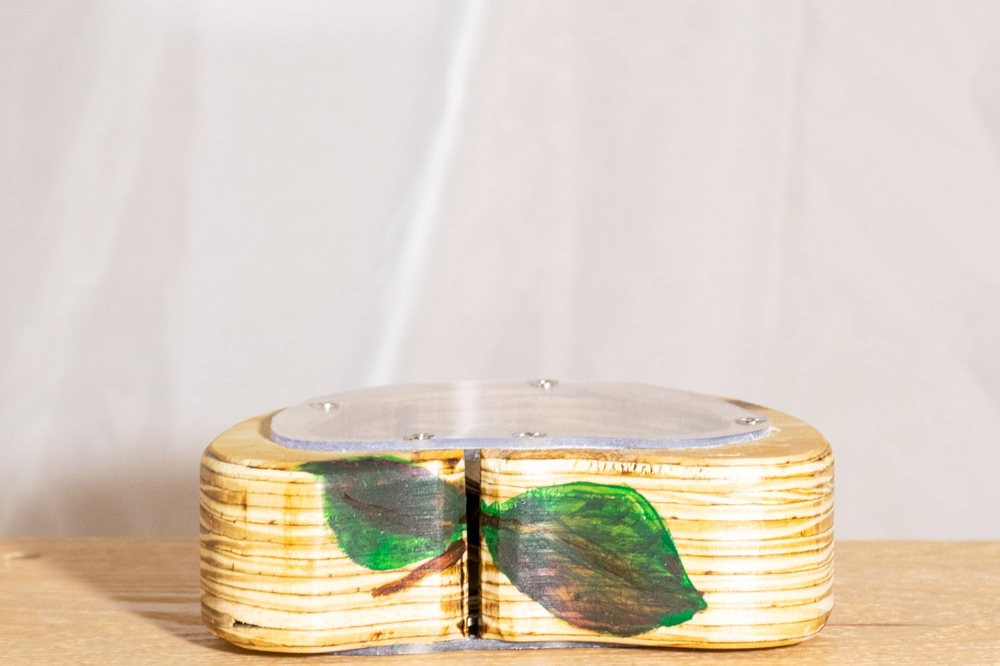 Wooden Apple Bank with Painted Leaf
